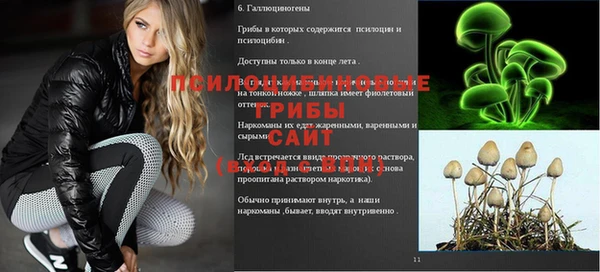 МДМА Верхнеуральск